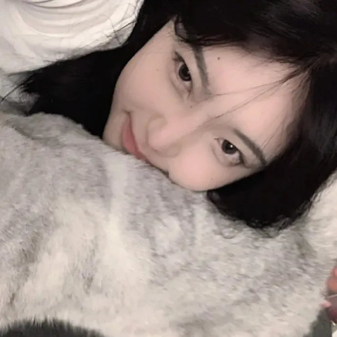 克莱尔的相机 在线播放